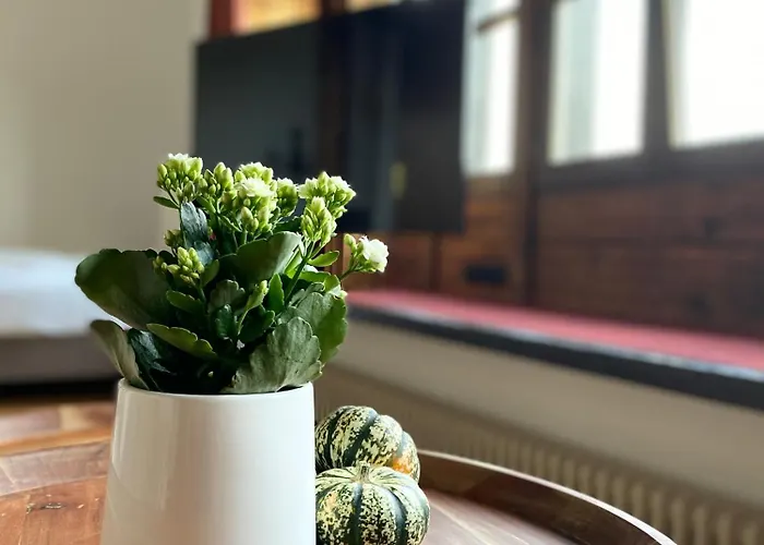 Apartmenthaus Eurenerstrasse 179 Trier